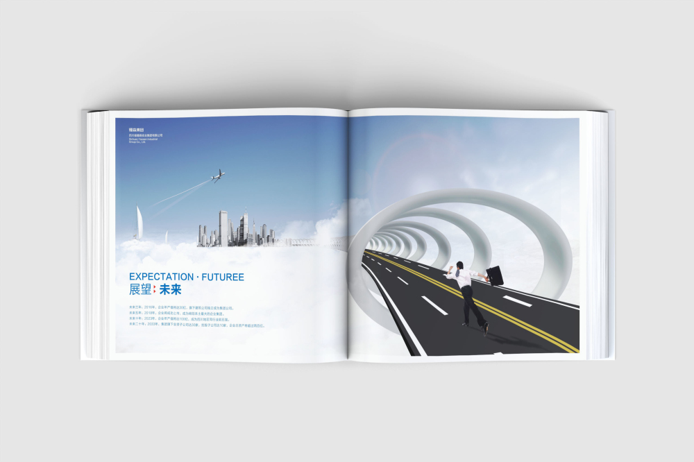 阿拉善右旗画册设计